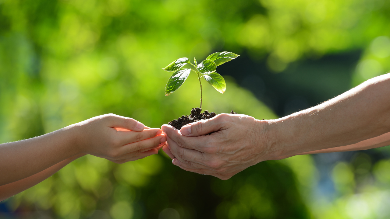 Milline oskuste vundament peab vastu kiiresti muutuvas maailmas?